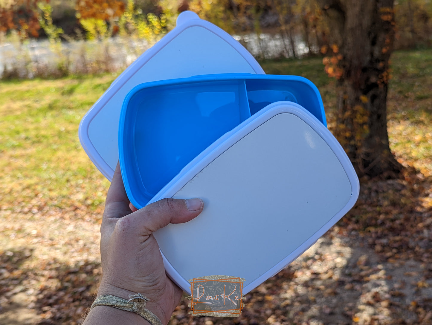 Lunch Box / Food Storage