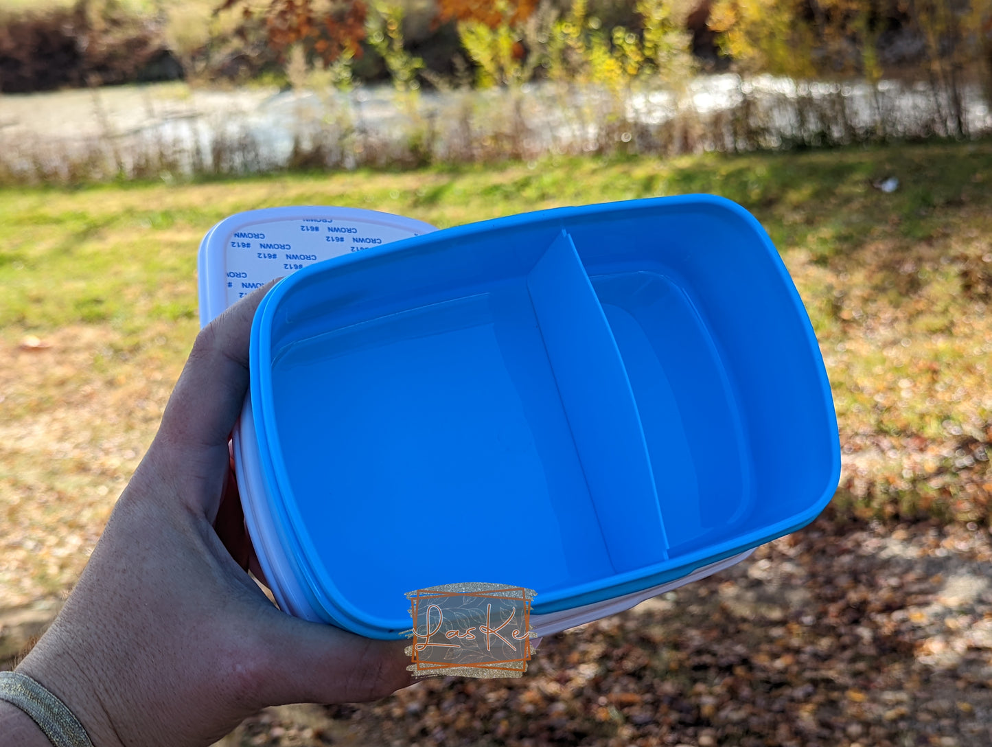 Lunch Box / Food Storage